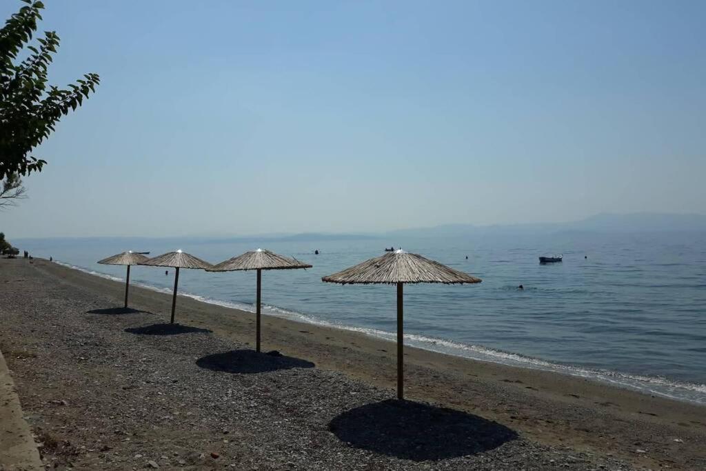 Σπίτι Στο Βουνό Αλλά Μια Ανάσα Από Τη Θάλασσα Villa Paleochori Luaran gambar